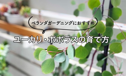 脂肪燃烧化学公式-脂肪燃烧弹 药网脂肪燃烧弹说明书知识网站,分享脂肪燃烧弹广告视频大全