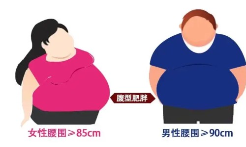 脂肪燃烧弹 药网脂肪燃烧弹说明书知识网站,分享脂肪燃烧弹广告视频大全